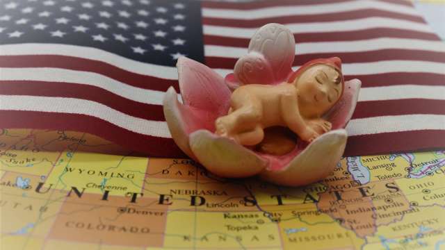 cover image of news article