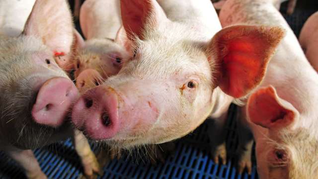 cover image of news article