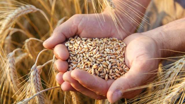 聯合國：4月全球糧食價格升至3年多來新高(圖:shutterstock)