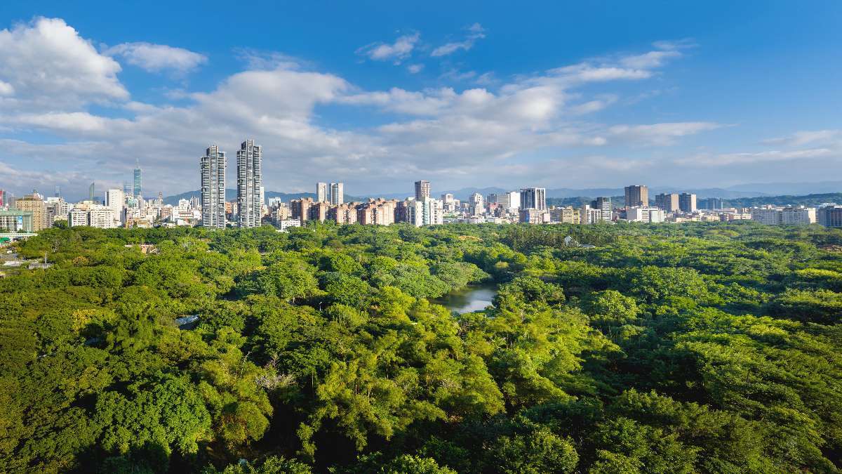 圖說：大安森林公園被譽為「台北之肺」，中正區生活圈可快速串聯大安區綠意與人文資源。