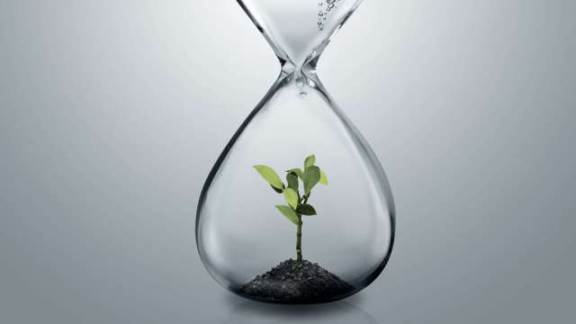 cover image of news article