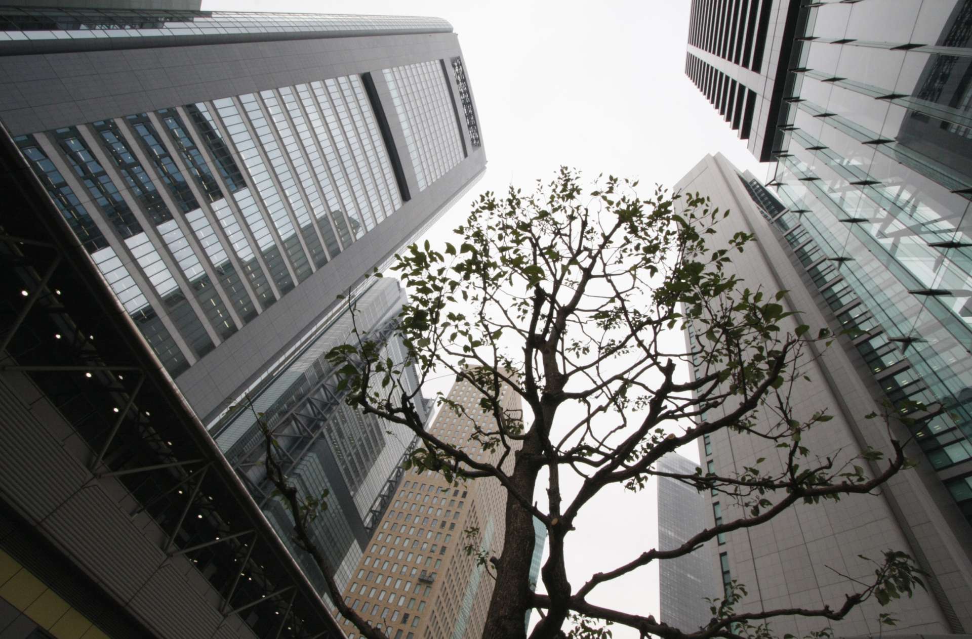 Reuters/TPG