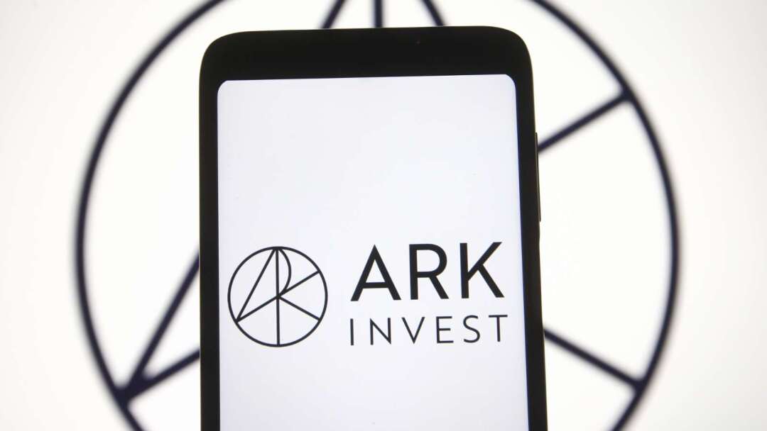As Chip Stocks Tumble, Cathie Wood's ARK Invest Heavily Buys TSMC and Adds to SpaceX Position