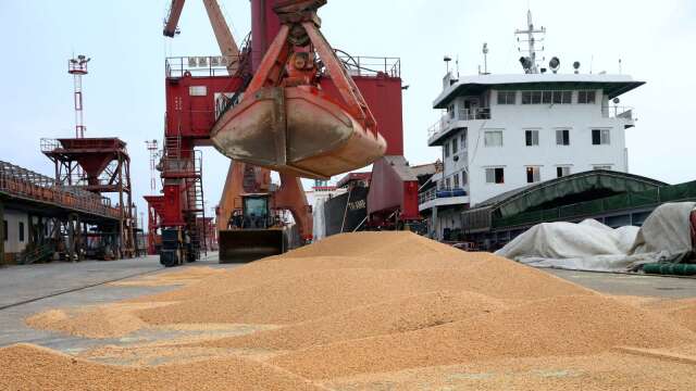 習近平訪美前送大單！中國一口氣買下百萬噸美國黃豆(圖：REUTERS/TPG)