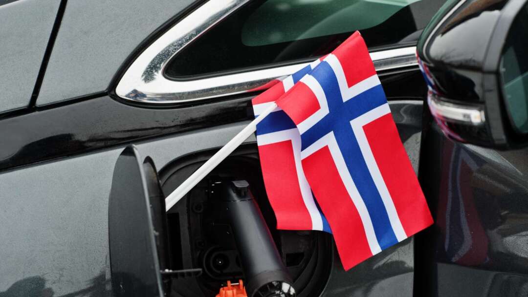 ノルウェー主権基金、上半期に1820億ドルの利益！報酬率9.4％でSpaceX保有も初公開
