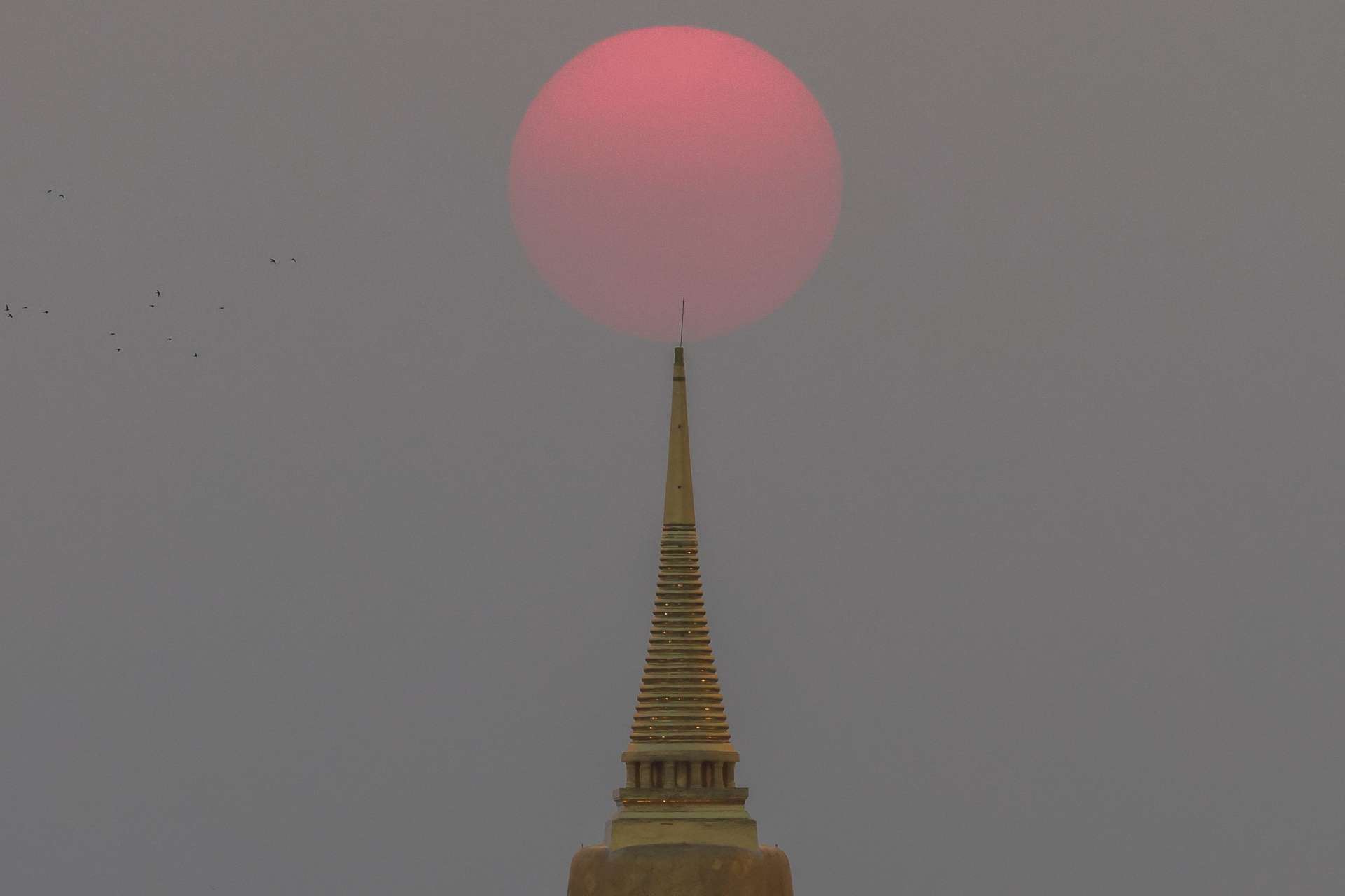 Reuters/TPG