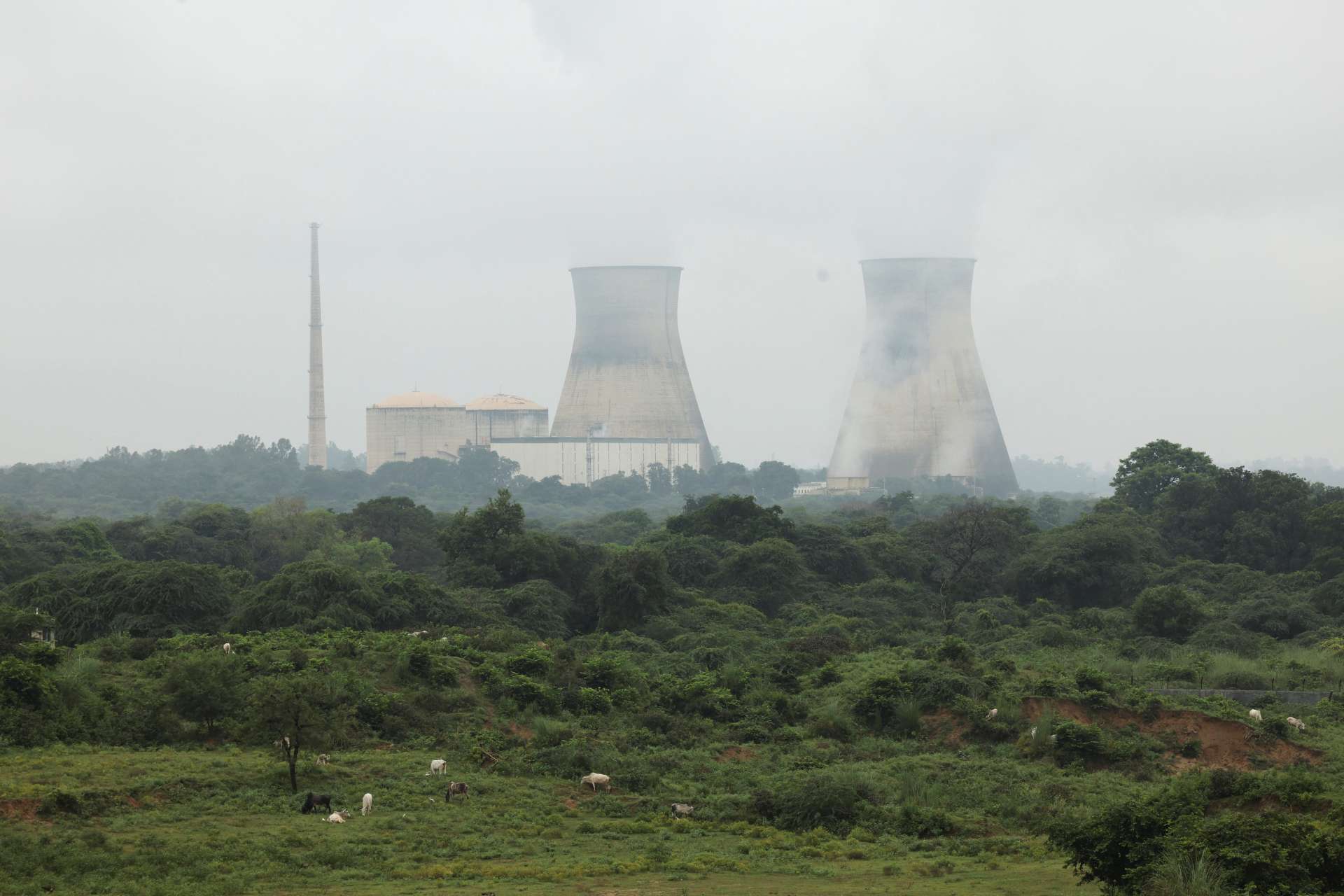 位於印度北方邦布蘭沙赫爾縣的納羅拉核能發電廠(Narora Atomic Power Station, NAPS)。Reuters/TPG