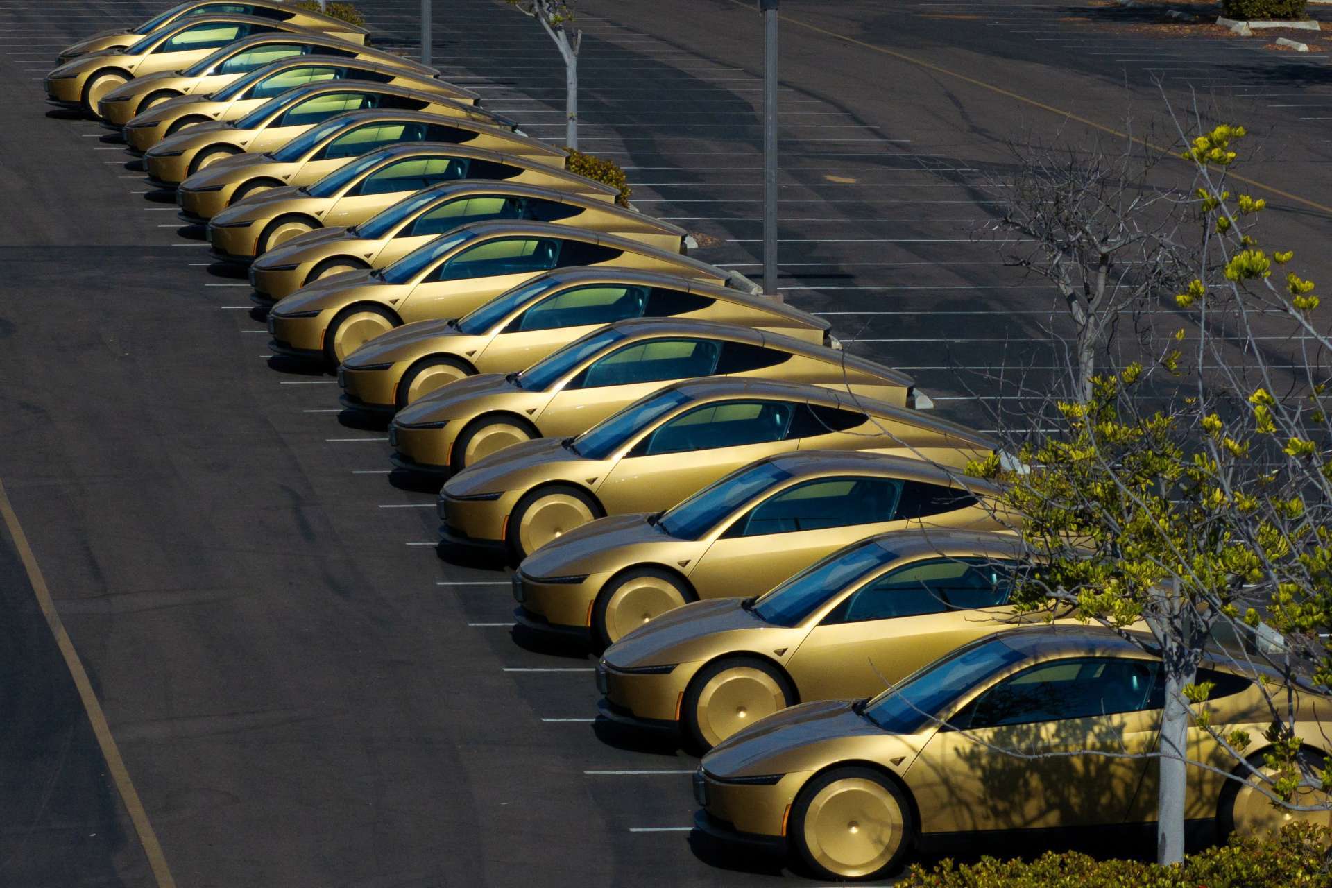 Reuters/TPG