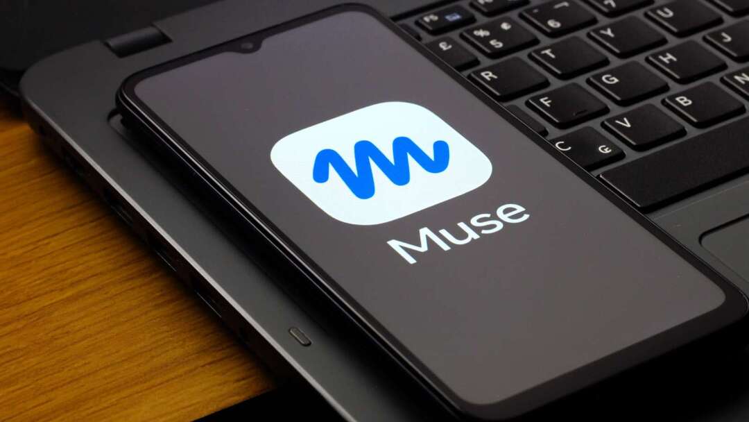 短期爆红还是Meta的「ChatGPT时刻」？小摩：Muse有望成ChatGPT后最广泛使用AI应用程序