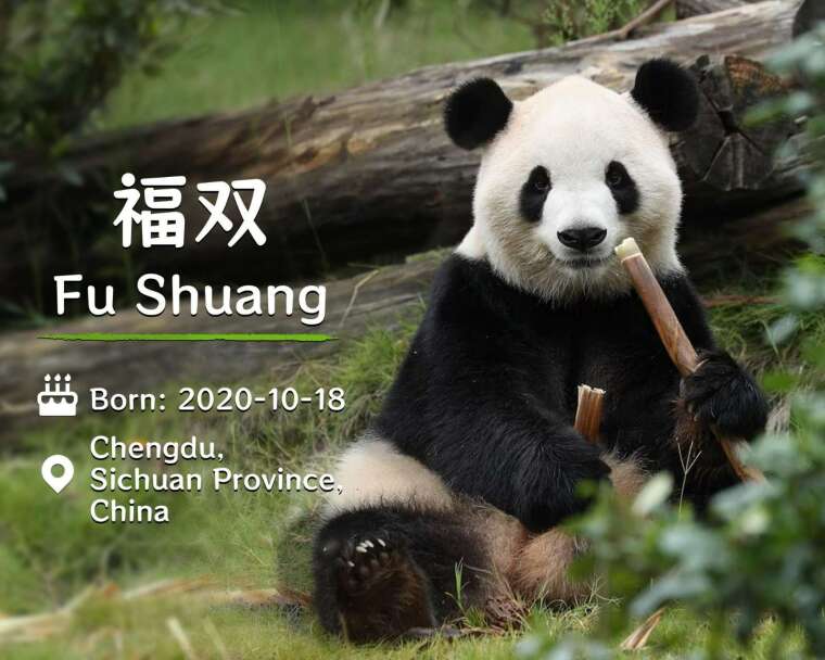 (图：)