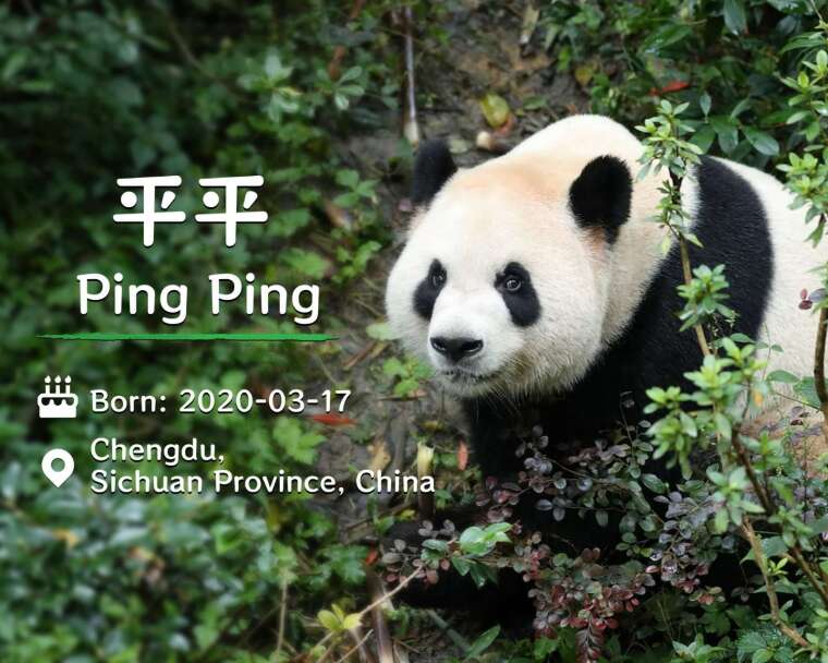 (图：)