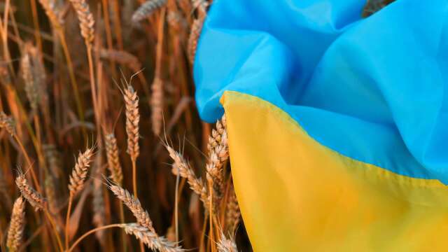 俄乌冲突升温冲击黑海出口 小麦连涨 全球食品价格恐攀升逾9%